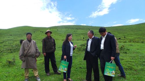 合作支行工作人员实地调查了解精准贷款户洒洒村养殖合作社经营和饲养情况