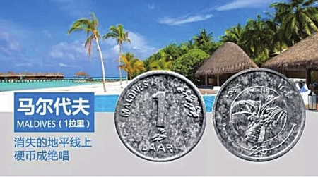 马尔代夫硬币