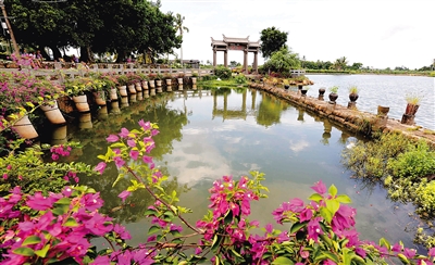 澄迈县美丽乡村永发至美亭带，从2013年正式启动建设后发生了巨大的变化，各村的村容村貌更加漂亮。 本报记者 陈元才 摄