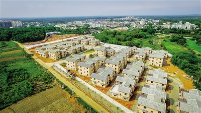 海南日报特约记者  王伟摄