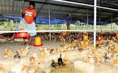 20170504091523991_4398199