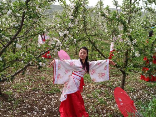 “苹果花开•探秘秦源”的活动现场1