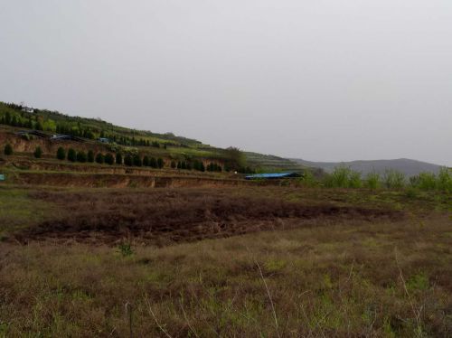 礼县大堡子山的秦西垂陵园
