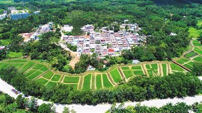 2893660_hnrbtp2_1494169196069_b