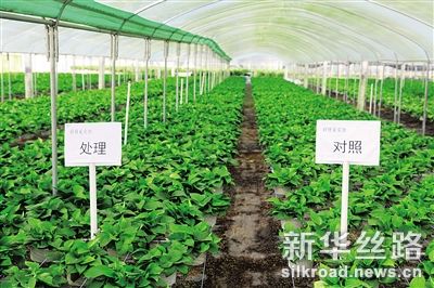 2898030_hnrbtp2_1494336750094_b