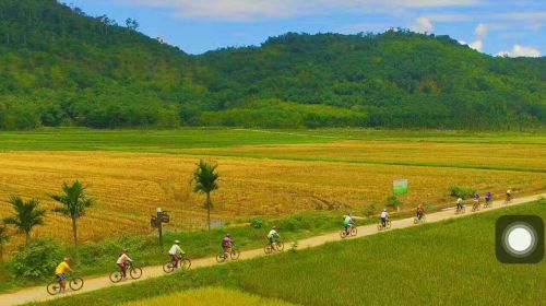 骑友在七彩田洋骑行 （图片来自：定安县委宣传部）