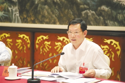 党代表、市委书记郑人豪发言。