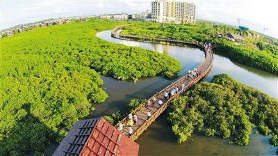 位于澄迈的富力红树湾湿地公园将生态保护与居民生活有机结合。来源：海南日报