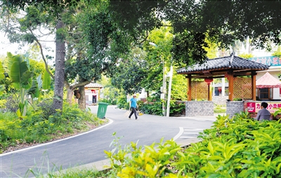 2951730_hnrbtp1_1496545304911_b