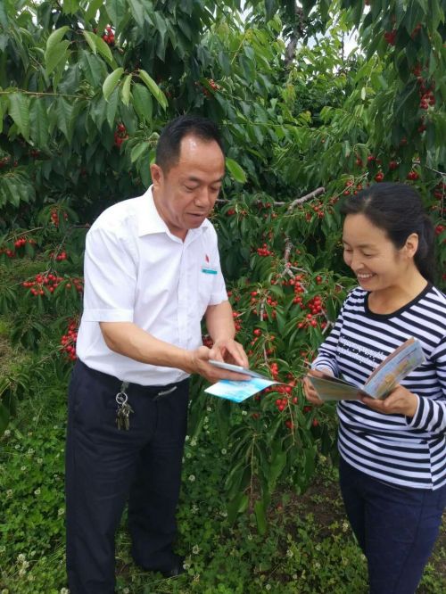 甘泉分理处支部党员深入田间市场，向广大果农宣讲农户贷款政策，推介助农富农金融产品。2