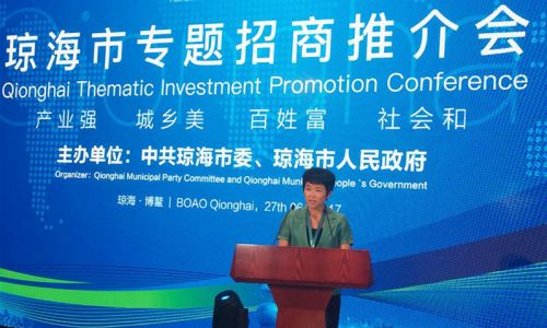 琼海市委书记何琼妹_副本