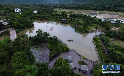 航拍中廖村一角,绿水青山,呈现出中廖村的别样风情(7月13日摄)。新华社记者 杨冠宇 摄