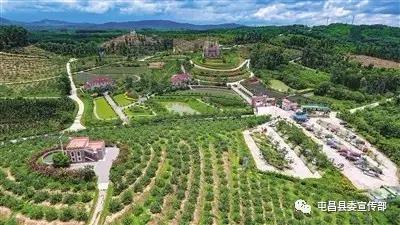 图片来源于网络