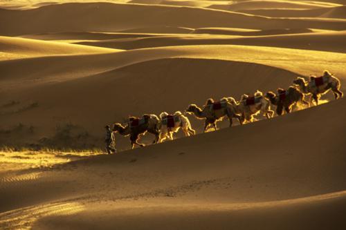 稻草方格治沙妙 沙海独特景色奇