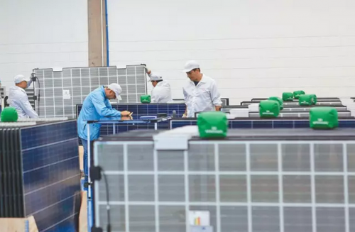 图为工人在巴西坎皮纳斯市的比亚迪工厂生产太阳能板