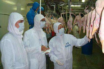 禽肉