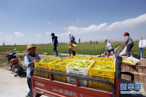 1121382855_15010431179731n