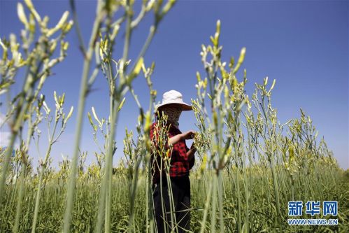 1121382855_15010431180151n