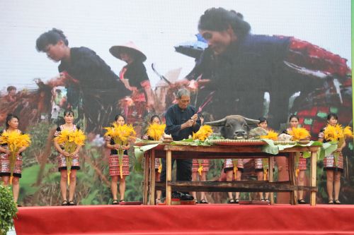 祭祀稻公稻婆仪式