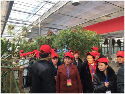 工行照片
