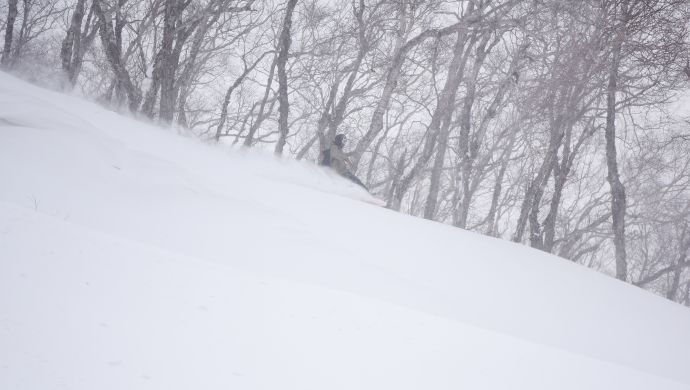 飞驰电掣,穿越长白山越野滑雪森林公园