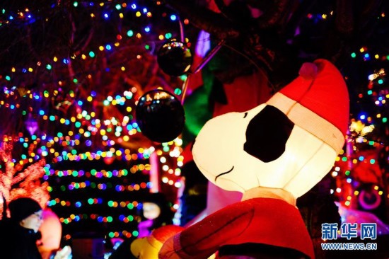 纽约布鲁克林&ldquo;圣诞小镇&rdquo;盛装迎圣诞2