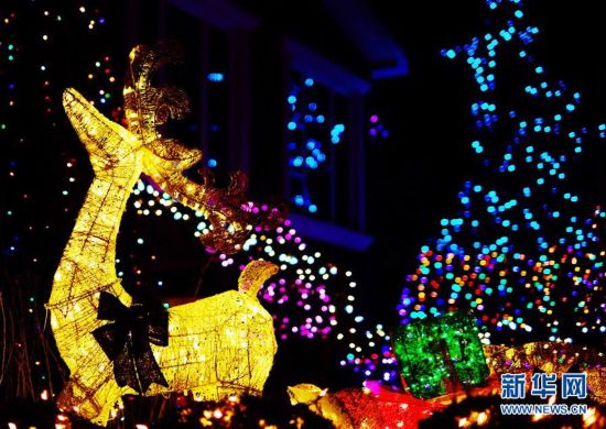 纽约布鲁克林&ldquo;圣诞小镇&rdquo;盛装迎圣诞6