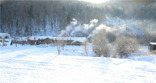 【V游延边&middot;发现精彩】绿色转型 走林区生态发展之路