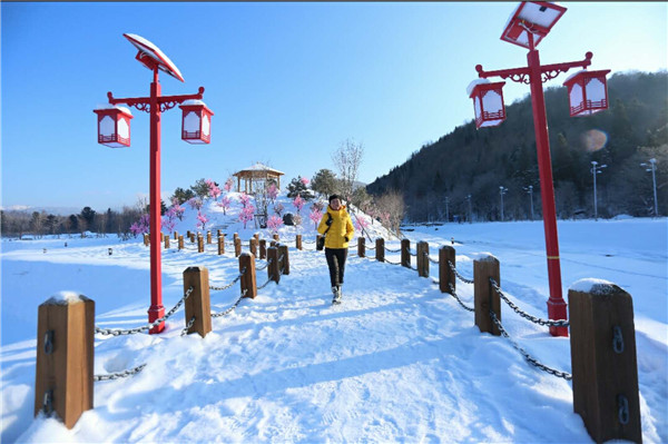 【V游延边&middot;发现精彩】绿色转型 走林区生态发展之路