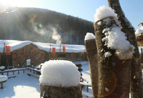 【V游延边&middot;发现精彩】绿色转型 走林区生态发展之路