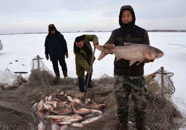 黑龙江渔业