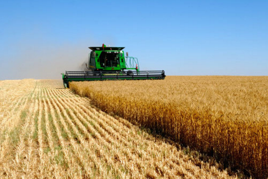 巴西欲扩大对亚洲农产品出口，正与各国进行谈判