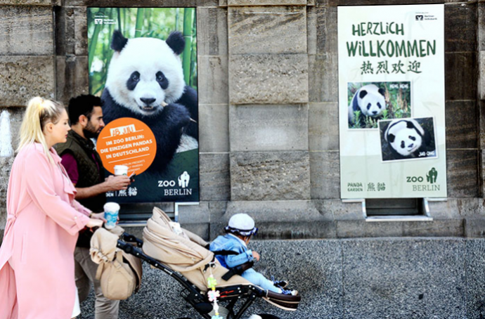 旅德熊猫“梦梦”获评“海外最受欢迎大熊猫”