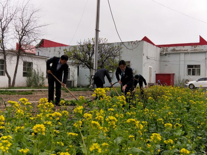 图二为伊犁兵团农行基层员工正在小菜园里种植蔬菜的场面