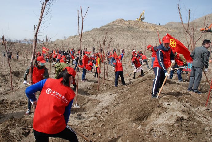 4月21日，农行新疆兵团分行机关党委组织机关青年党员队赴乌鲁木齐燕儿窝开展2018年春季义务植树活动。30余名青年党员在植被稀少的荒坡上种下“农行青年林”，共计种树300余棵