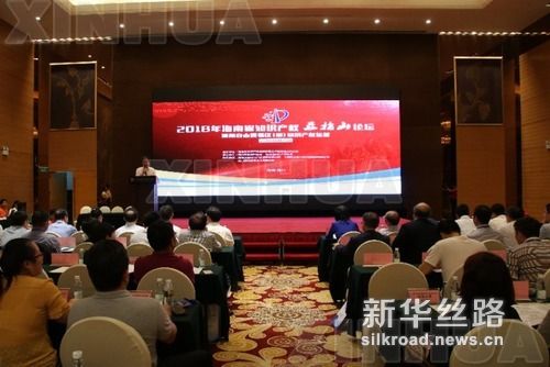 图为2018年海南省知识产权五指山论坛现场
