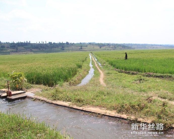 中国企业助力卢旺达农田水利建设