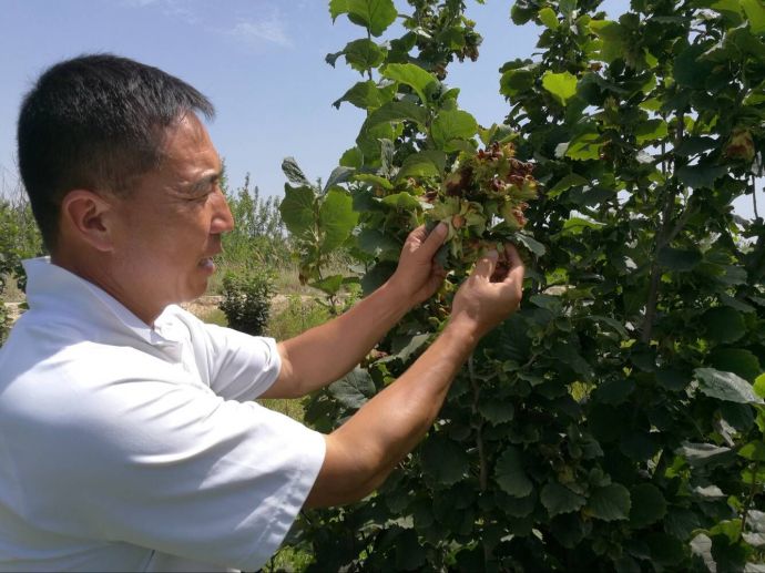 微信图片_20180731103420