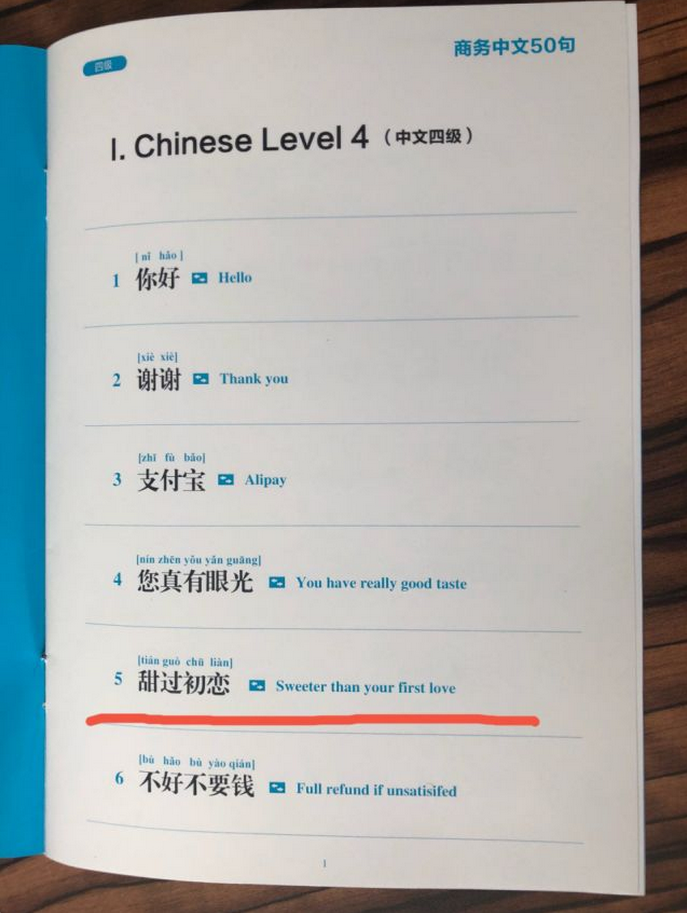 支付宝推出蓝宝书《商务中文50句》 外国商户：简直是我们的福星！2