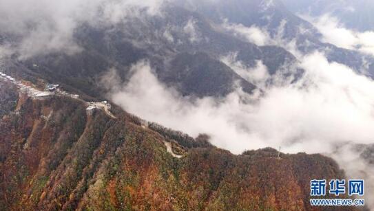 陕南鬼谷岭:秦岭深处的“云雾仙境”