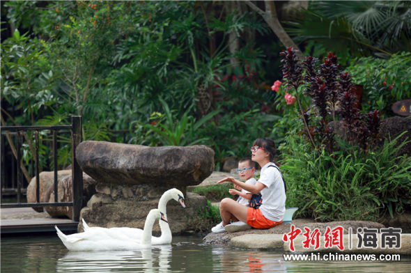 　十一假期，游客在保亭呀诺达景区内游玩