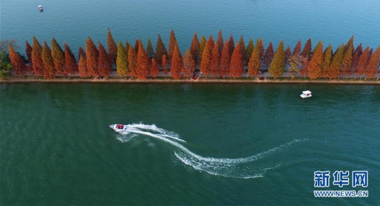 （美丽中国）（3）层林染翠湖 