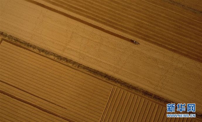 工作人员在海南农垦南繁产业集团有限公司位于三亚的试验田内犁地（11月14日无人机拍摄）。 新华社记者杨冠宇摄
