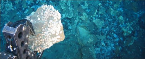 Deep Seabed Mining of Critical Metals Strategic and Governance Challenges