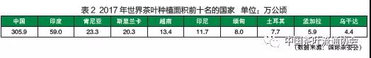 世界茶叶产销形势发展报告4