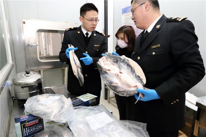 南京海关隶属连云港海关关员正在对进口海产品进行查验。（图片来源：中国经济网 顾阳摄）