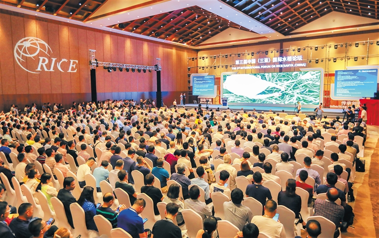 4332640_hnrbtp3_1555251010536_s