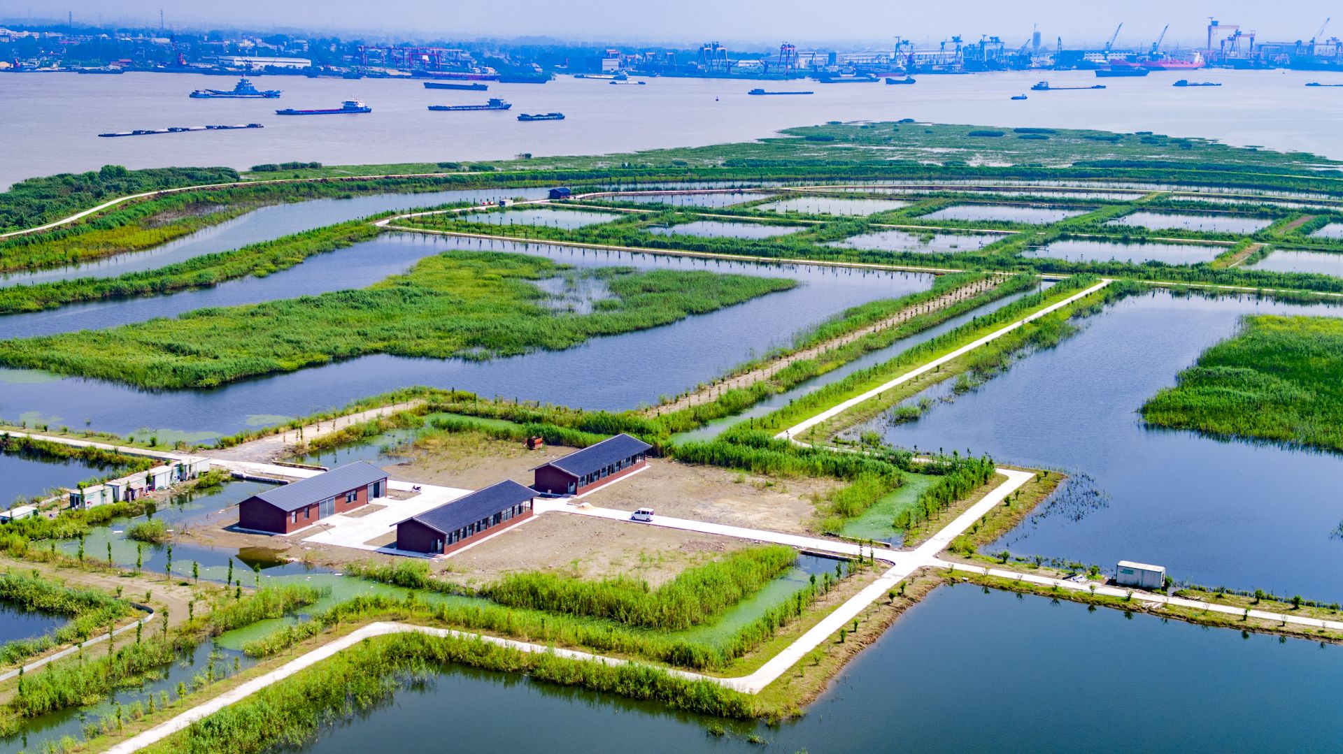 西来桥镇_新华丝路