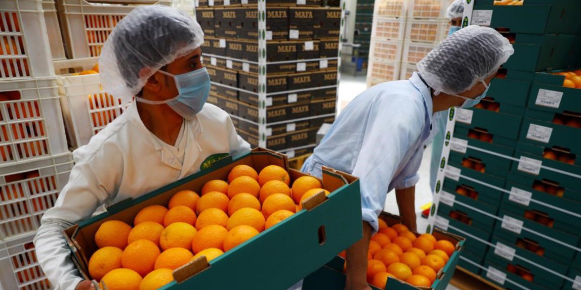 在埃及布海拉省，工人在橙子包装车间内工作。3.jpg