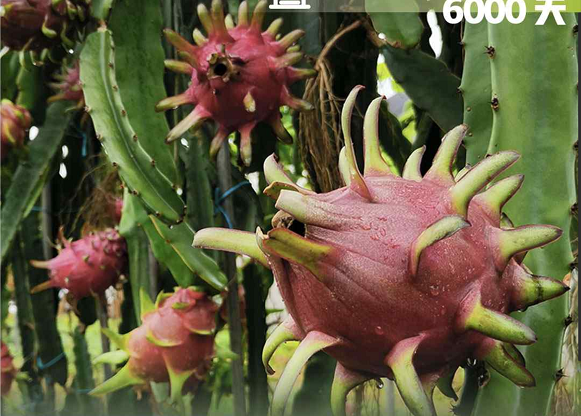 全球连线 | 一字观中国：“一带一路”上的“时”光